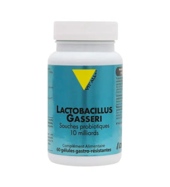 VITALL PLUS LACTOBACILLUS GASSERI 100MG 60 GELULES – LACDP